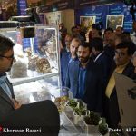 بازدید مدیرکل جهادکشاورزی خراسان رضوی از غرفه جهاددانشگاهی استان